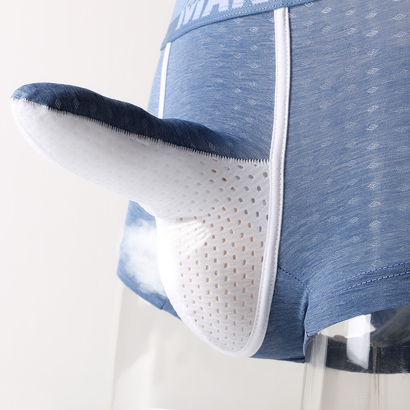 Men's Ice Silk Boxer Briefs, B - Mesh Sport Boxer 评论和价格