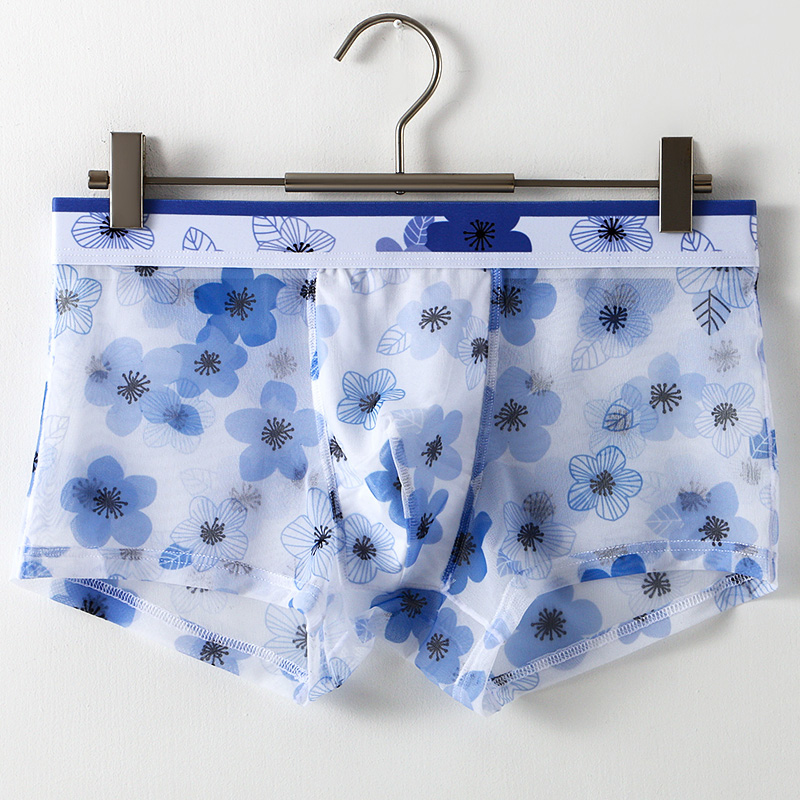 Ultra Thin Transparent Ice Sil - Mesh Sport Boxer 评论和价格